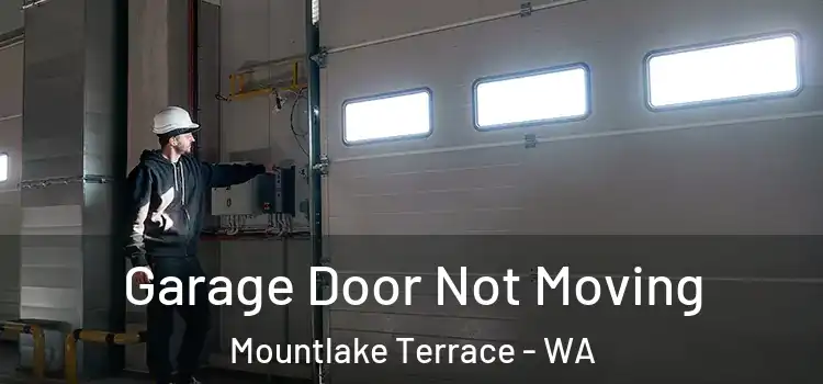  Garage Door Not Moving Mountlake Terrace - WA
