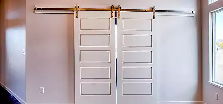 Glass Barn Door with Installation Hardware Kit Mountlake Terrace