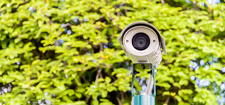 Advanced Surveillance Solutions for Every Need in Mountlake Terrace