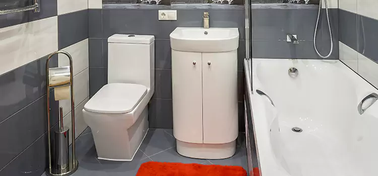 Hansgrohe Shaving Mirror Mountlake Terrace